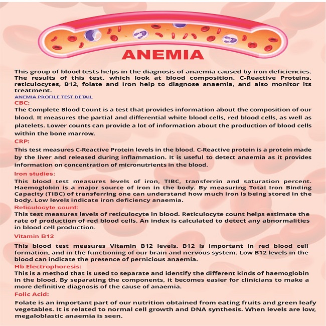 Anemia Test Details