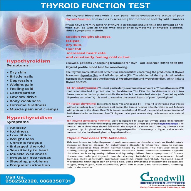 Thyroid Function Test